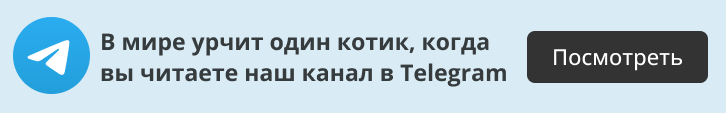 10 лучших шампуней для блондинок: оттеночные, питательные и от желтизны ...