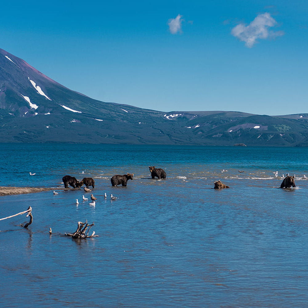 Курильское озеро Камчатка