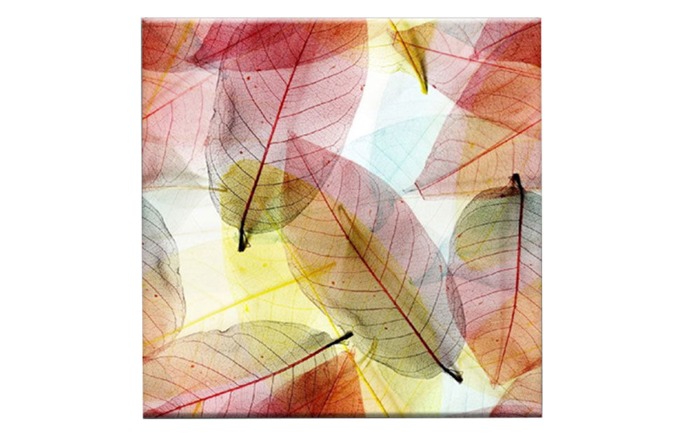 Картина «Листья макро №3» (60 х 60 см) Ангстрем