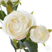 Букет Rosas Blancas CozyHome