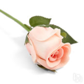 Цветок Rosa CozyHome
