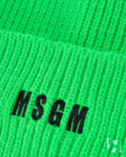 Шапка MSGM 3341MDL08 зеленый UNI