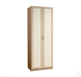 Шкаф двухдверный для платья Визит-16